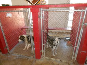 Boarding at Double J Kennel